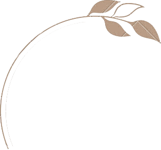 logo2